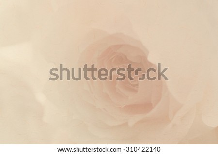 Beautiful soft pink rose, English rose, Wedgwood rose, vintage style with paper texture for background..