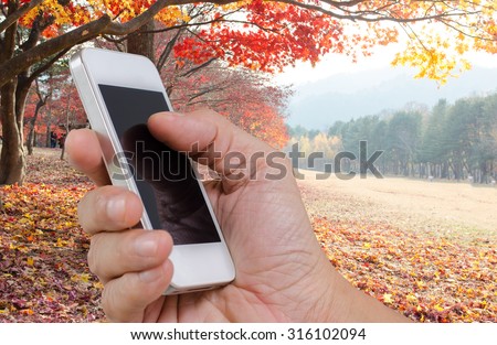 Hand holding white mobile smart phone with blurred autumn background, happy time, relax time, on vacation.