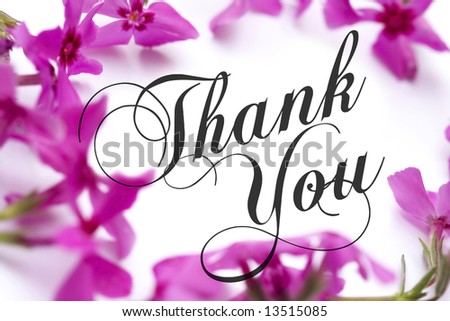 Thank You card with pink phlox background and elegant script text (public domain free type).