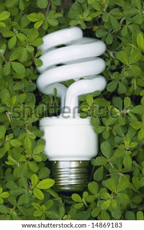 An energy saving lightbulb surrounded by green vegetation.