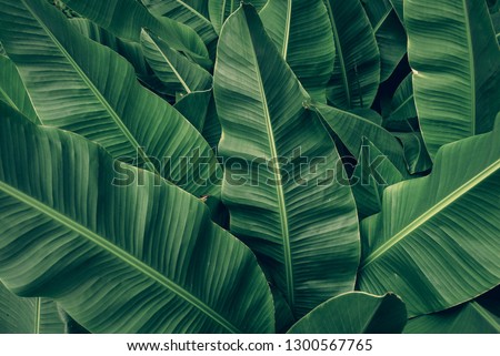 Similar – Image, Stock Photo Wild Surface structure