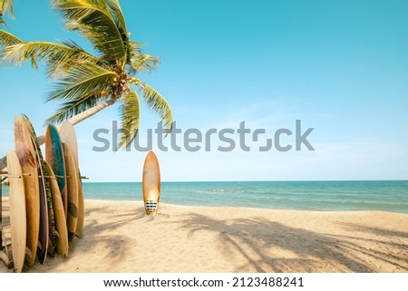 Similar – Image, Stock Photo Colorful surfboards on the beach