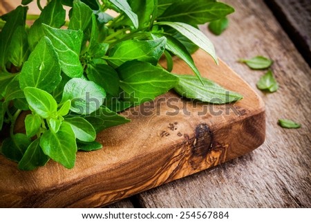 bunch of fresh organic basil in olive cutting board closeup on rustic wooden background