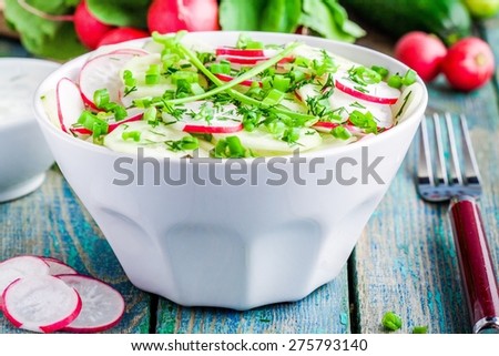 salad of fresh organic radish and cucumber with dill and green onions in white bowl for lunch