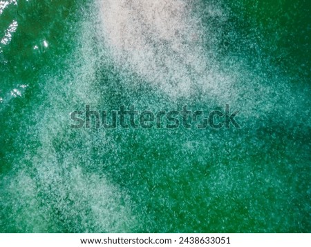 Similar – Image, Stock Photo teeming jellyfish in the harbour basin