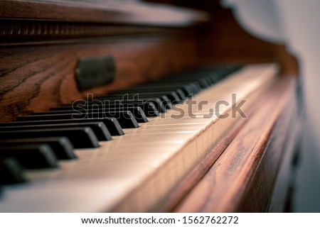 Similar – Image, Stock Photo Close up piano keys Piano