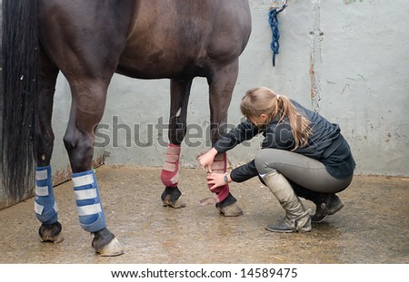 woman with a horse and a medical care in its legs