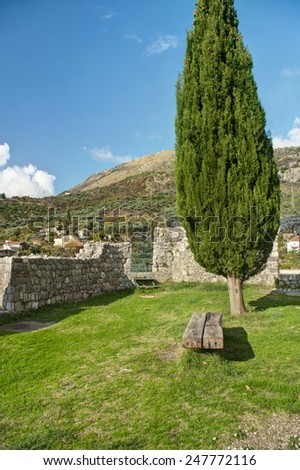 bench in old Bar fortress under cypress tree, Montenegro