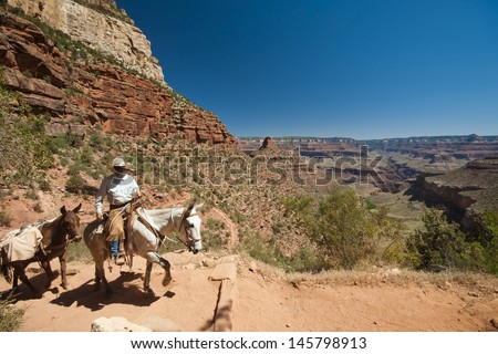 GRAND CANYON, AZ - JUNE 8: A mule guide takes visitors on a tour up the popular Bright Angel Trail June 8th, 2013 in Grand Canyon, AZ.