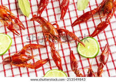 Crawfish on a checkered background. Selective focus