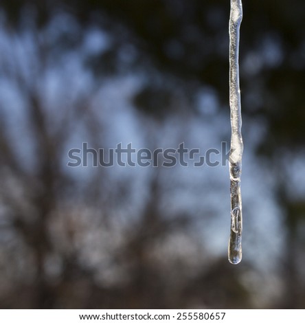 Icicle on dark background. Empty space for label