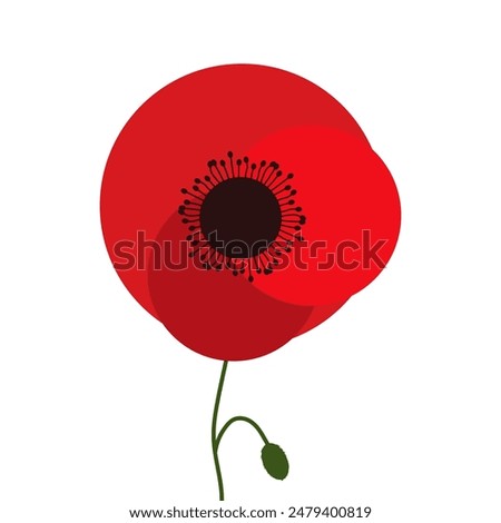 Similar – Image, Stock Photo Flowering poppy at the edge of the field (Island of Rügen)