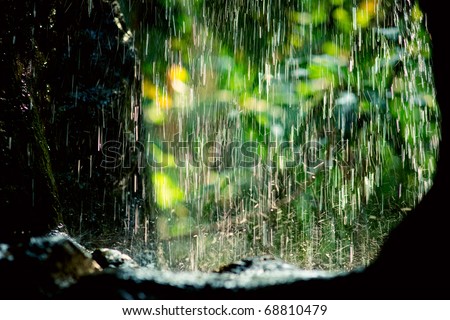 Rain drops in sunlight, natural background