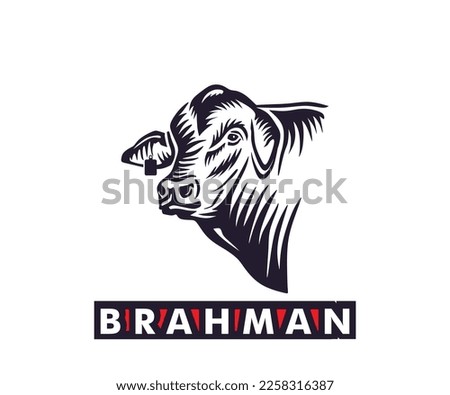 BRAHMAN CATTLE HEAD LOGO, silhouette of great big bull face vector illustrations