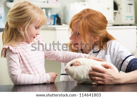 Female Veterinary Surgeon Examining Child\'s Guinea Pig In Surgery