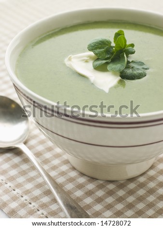 Bowl of Watercress Soup with Cr me Fraiche Photo stock © 