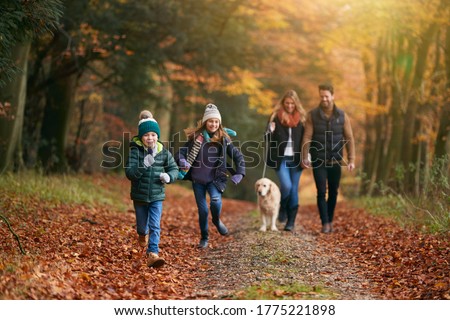 Similar – Image, Stock Photo Forest walk in autumn