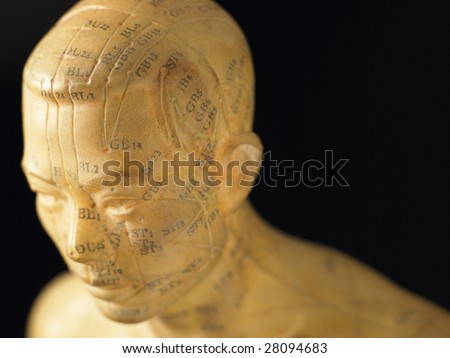 Meridian Lines On An Acupuncture Figurine
