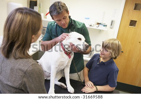 Boy And Mother Taking Dog For Examination By Vet