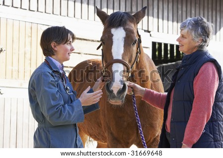 Vet In Discussion With Horse Owner