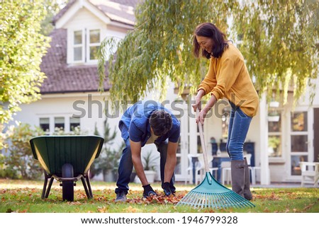 Similar – Image, Stock Photo Leaf rake in autumn on the meadow