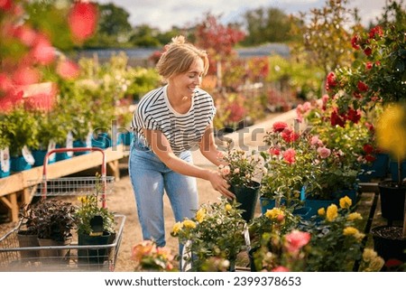 Similar – Foto Bild Frau wählt Pflanzen für den Garten auf dem Blumenmarkt