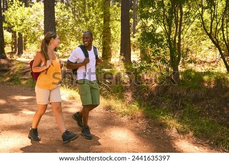 Similar – Image, Stock Photo Couple is walking along the ocean