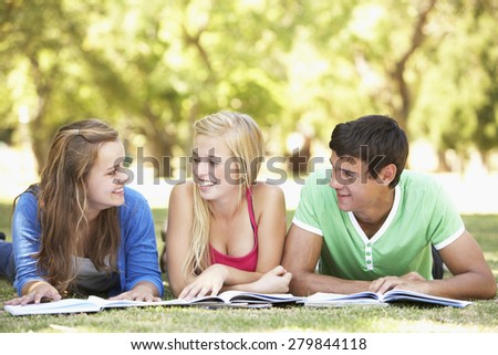 Group Of Teenage Friends Studying In Park