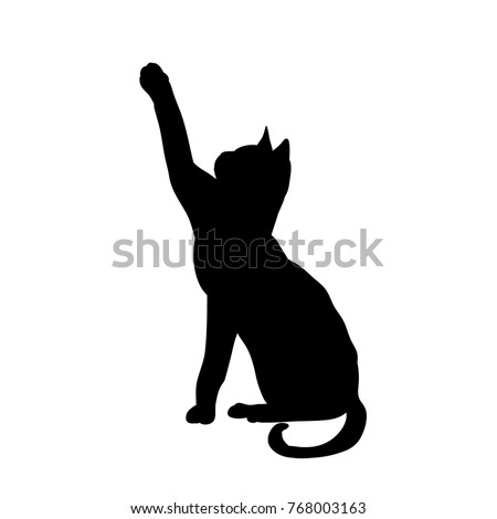 black silhouette of a cat