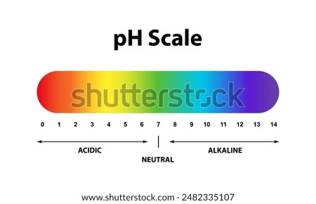 Colorful Ph level Scale chart indicator diagram value. Alkaline, neutral, acidic solution.