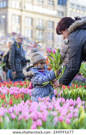 AMSTERDAM, NL - JANUARY 17: Girl hands over tulips on the National Tulip Day in Amsterdam, January 17, 2015. The start of the new tulip season is celebrated with free tulip picking on Dam Square.