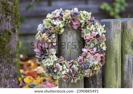 Similar – Image, Stock Photo Beautiful autumn wreath or circle frame made with pretty fall leaves, chestnuts, nuts, acorns and flowers on white background. Top view. Flat lay. Creative layout