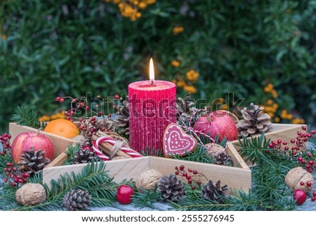 Similar – Image, Stock Photo Apples with pine cones in a vase