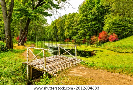 A bridge over the autumn river covered with duckweed. Autumn park river bridge. Birch bridge in autumn park river