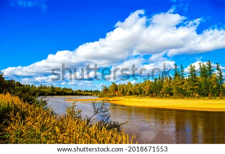 Forest river on a clear sunny day. Autumn forest river landscape. River in autumn nature scene. Autumn river landscape