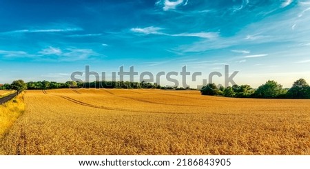 Similar – Image, Stock Photo Farm Fields with Forest Border