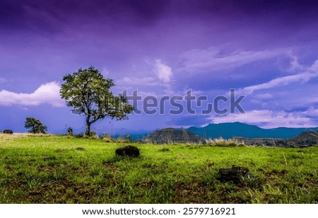 Similar – Foto Bild Ländliches Feld unter bewölktem Himmel mit Sonnenstrahlen