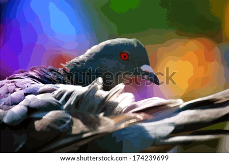 Pigeon cleaning itself. Live traced image.
