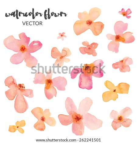 Vector Watercolor Flowers. Spring Watercolor Vector Flowers
