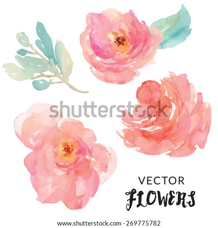 Hand Painted Watercolor Flower Vector. Watercolor Vector Flowers in Pink and Red