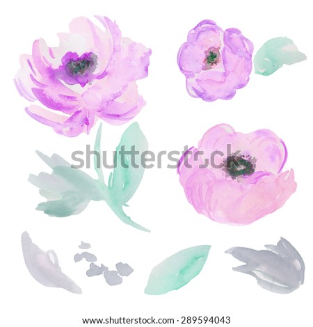 Purple Peony Flowers. Painted Watercolor Flowers. Isolated Watercolour Peony Flowers