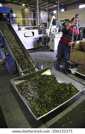 Crete, Greece, - January. 27. 2009: Olive factory, processing fresh olives into olive, Crete, Greece