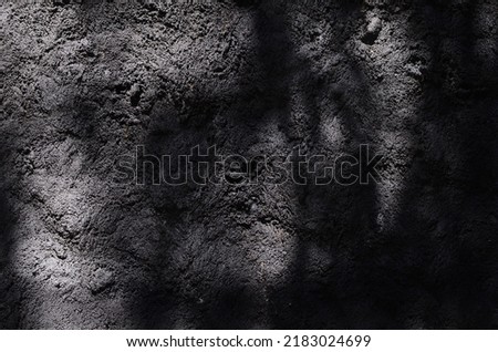 Black and White abstract background textuer of shadows leaf on a concrete wall Zdjęcia stock © 