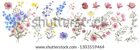 Field flowers.  Watercolor illustration. Botanical collection of wild and garden plants. Set: different wild flowers, pink, blue, yellow, leaves, bouquets,branches, buds, herbs .