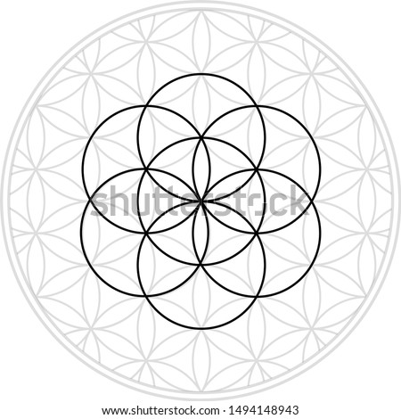 Sacred geometry is the flower of life, the sixth day of creation from Genesis