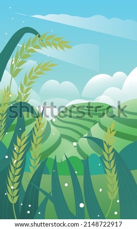 Farmer working in a wheat field in summer with terraces and wheat in the background, vector illustration