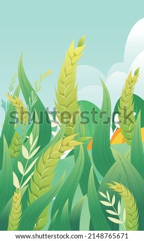 Wheat grows in the farmland with ears of wheat, vector illustration