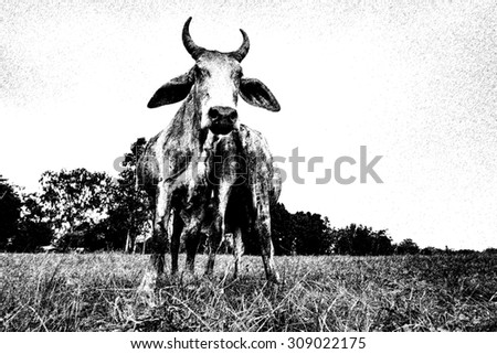 Sketch of cow on pasture