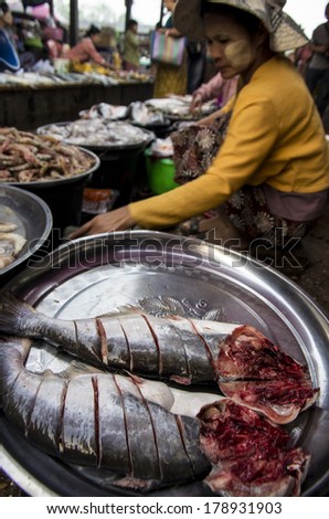 MYANMAR, BURMA - FEB 18, 2014 : A market woman with a big fish in the Dawei morning fresh market.