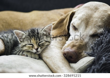 Friends
